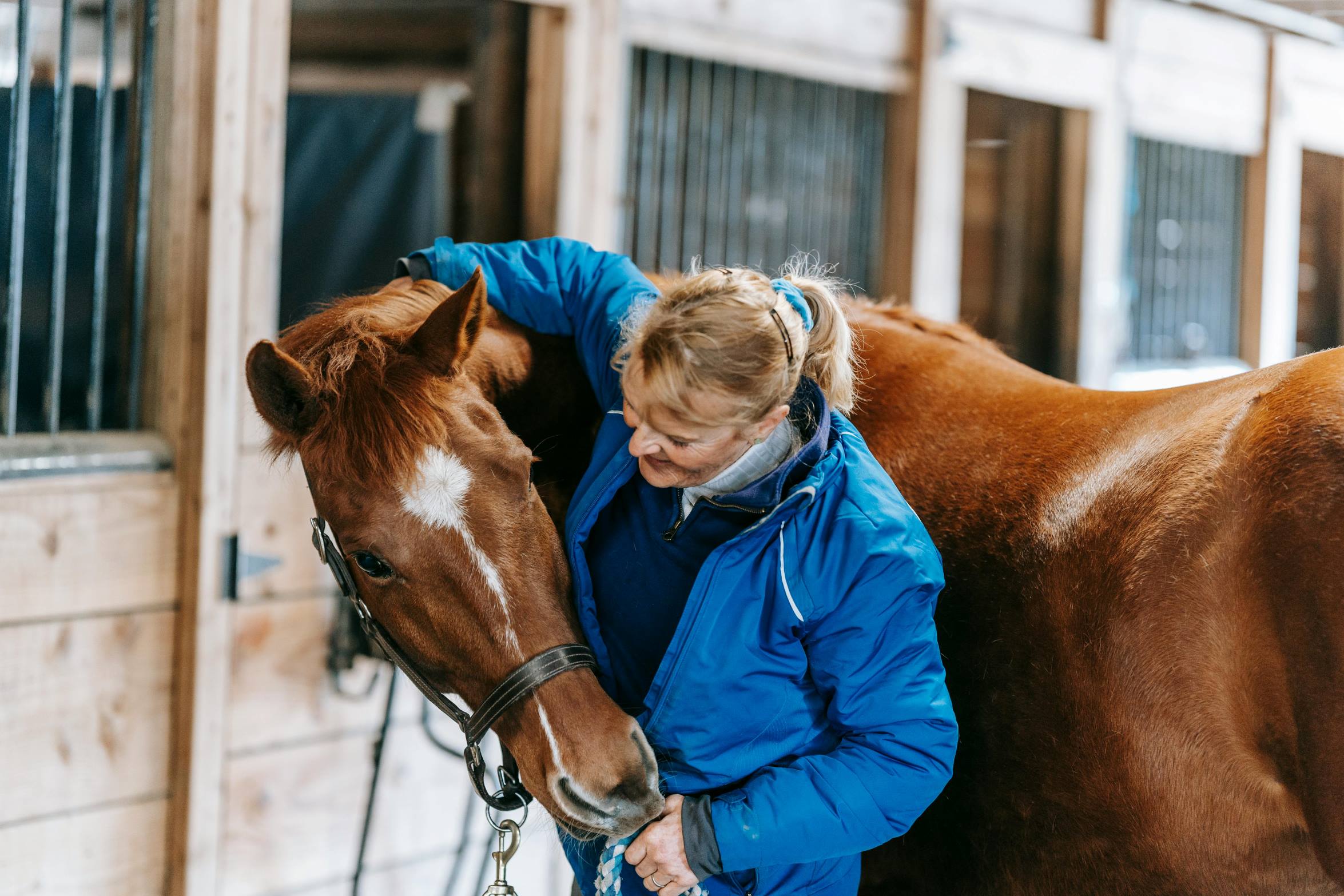 riding coat